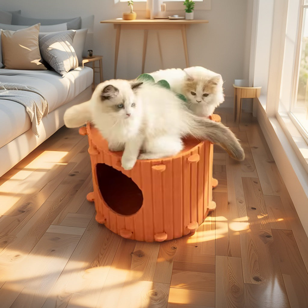 KarottenHöhle™ – Gemütliches Katzenhaus Pawsola